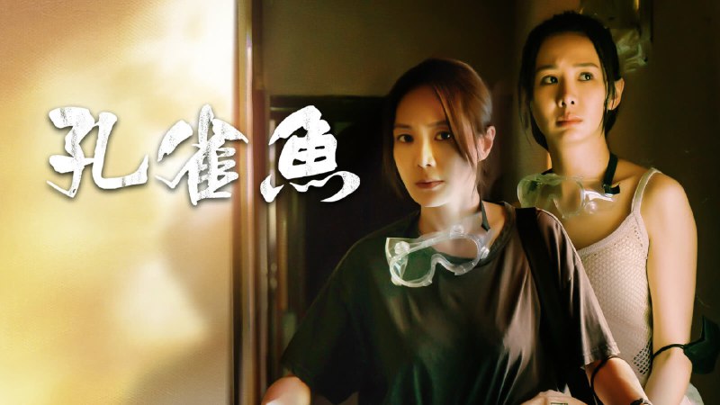 孔雀鱼（2024）IQ 4K 内封简中 8 集全  完结