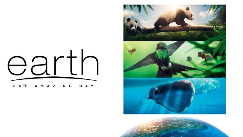 地球：神奇的一天（2017）4KREMUX 内封简英  纪录片