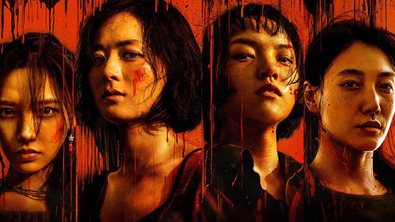 向阳花/向阳·花（2025）1080P 流媒体偷跑版   6.17G