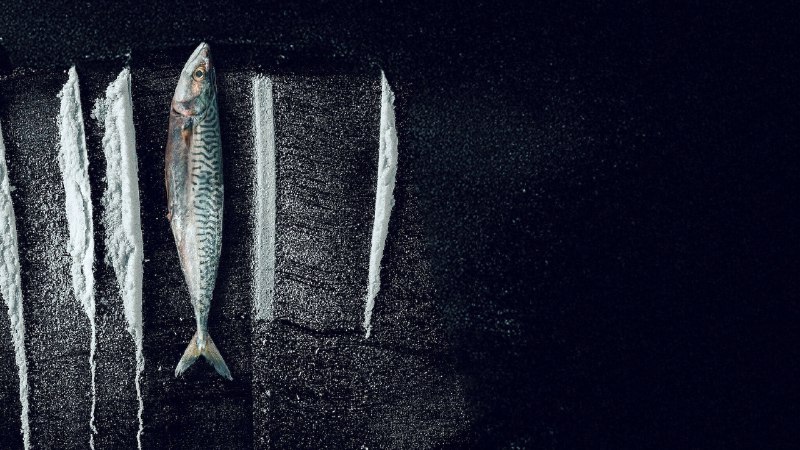 毒海狂涛：鱼尾村离奇事件 (2025) NF 1080P 内封简中  4.5G - 