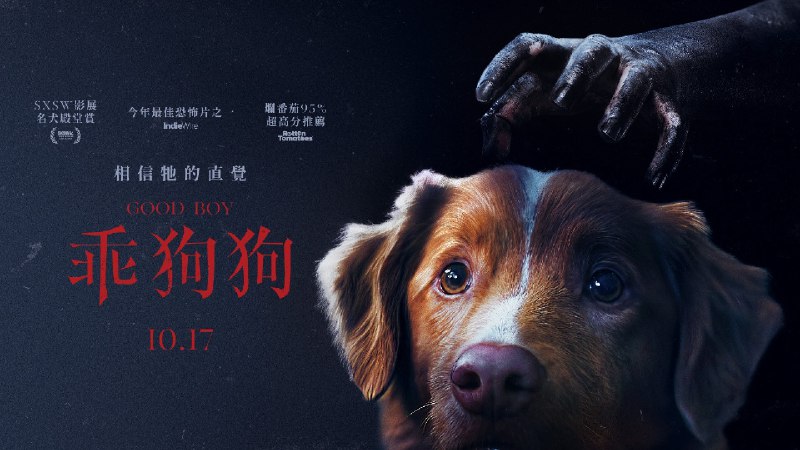 好狗狗 (2025) 4K DV&HDR 内封简繁英  12.82G - 