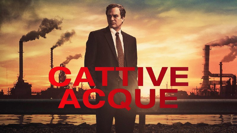 黑水（2019）豆瓣 8.7  “绿巨人 ”/安妮海瑟薇主演  蓝光原盘REMUX 内封简繁双语字幕 老 K35G