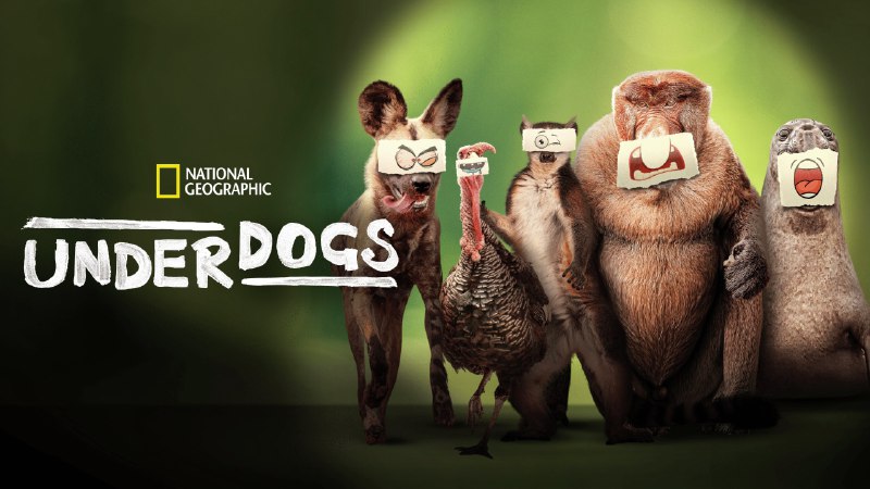 失败者（2025）4K 杜比视界 内封简中   5 集全   国家地理新系列纪录片    21.72G