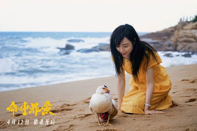 命中罪爱（2025）4KHDR/4K 杜比视界/4KEDR 高码/4KHQ 高码  4.1G/6.88G/8.56G/18.12G四个版本