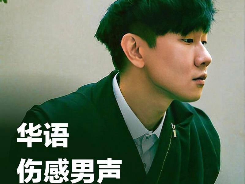 华语男声经典伤感歌曲无损合集