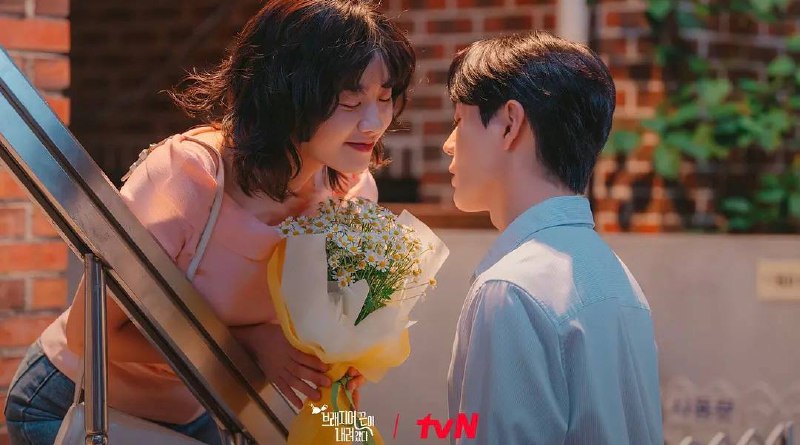 内衣带掉了（2024）4KSDR 1 集全