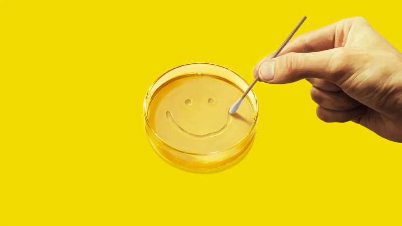 同乐者 (2025) 4KHDR&DV P8 内封简中 更至 EP07 - 