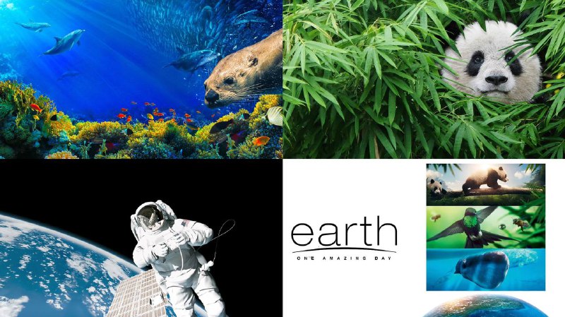 4KREMUX 纪录片合集 共 11 部 内封简中  204.83G