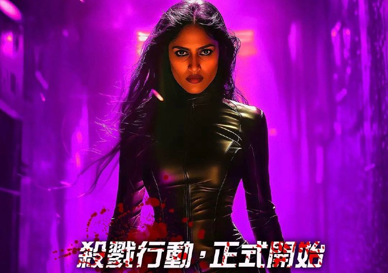 芭蕾女刺客 (2025) 1080P 内嵌繁中   5.85G