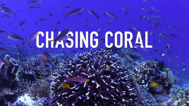 追逐珊瑚（2017）4K HDR 内封简中 11.75G